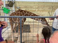 Rose Valley Animal Park photo 6