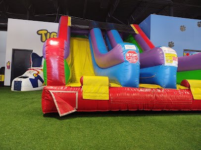 Tiger Bounce photo 3