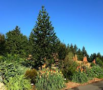 Point Defiance Zoo Botanical Gardens photo 3