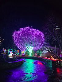 Point Defiance Zoo Botanical Gardens photo 4