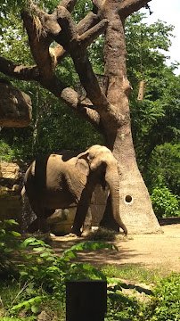 River's Edge photo 2