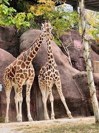 River's Edge photo 3