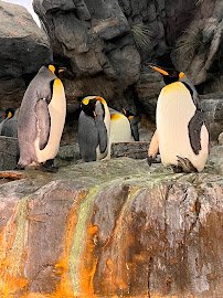 River's Edge photo 4