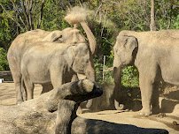 River's Edge photo 5