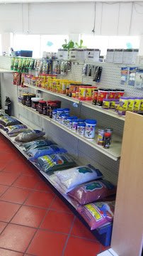 Fish Aquariums & Stuff photo 3