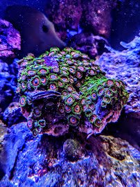 Fish Aquariums & Stuff photo 4