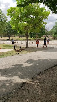 Spring River Zoo photo 2