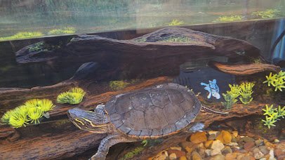 Runge Nature Center photo 2