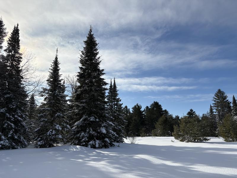 Farmhouse Snowmobiling and Go Karts photo 6