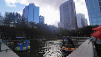 The Rink: Rolling at Discovery Green photo 4