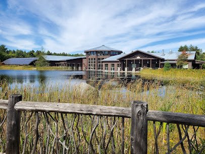 The Wild Center photo 4