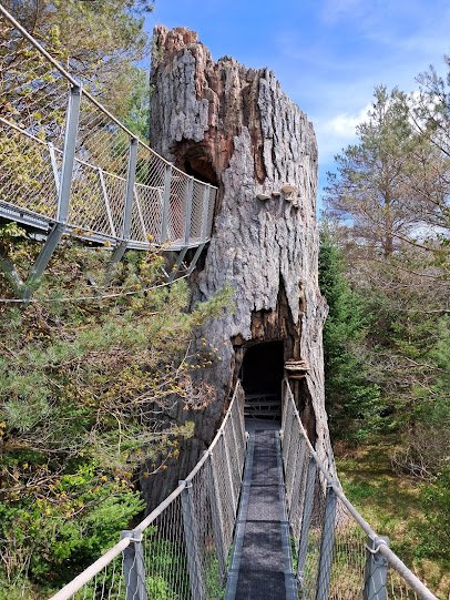 The Wild Center photo 5