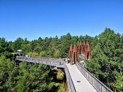 The Wild Center photo 6