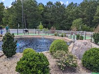 Dormy’s Mini Golf photo 4