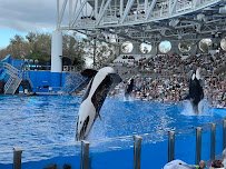 SeaWorld San Antonio photo 4