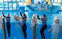 SeaWorld San Antonio photo 5