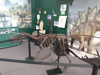 Southern Arizona Museum of Science and Technology photo 2