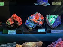 Southern Arizona Museum of Science and Technology photo 5
