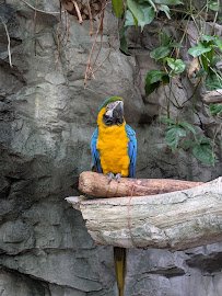 Baltimore Aquarium photo 5
