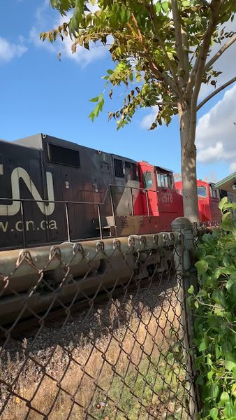 Michigan Transit Museum photo 2