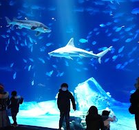 New York Aquarium photo 3