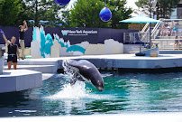 New York Aquarium photo 5