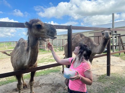 Rigden Ranch photo 3