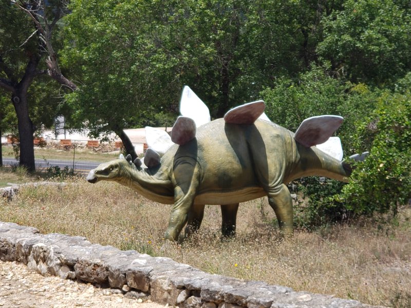 The Heritage Museum of the Texas Hill Country photo 3