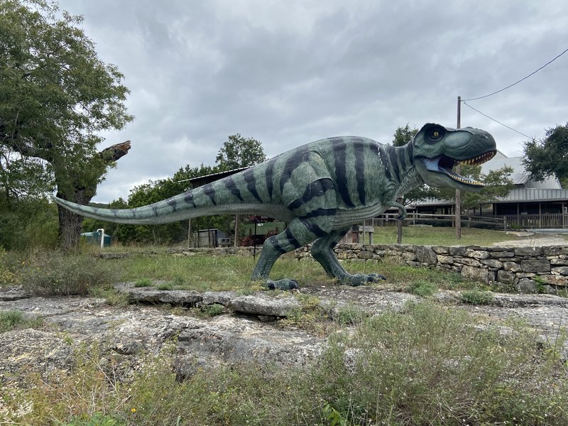 The Heritage Museum of the Texas Hill Country photo 5