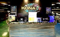 Kona Reef Az - Surprise