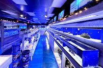 Kona Reef Az - Surprise photo 3