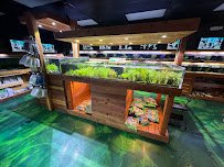 Kona Reef Az - Surprise photo 5