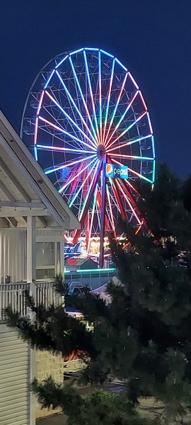 Marty's Playland photo 6