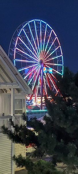 Marty's Playland photo 6