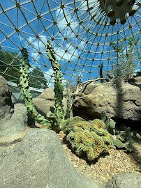 Desert Dome photo 3