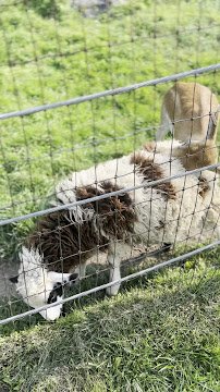 Action Wildlife photo 4