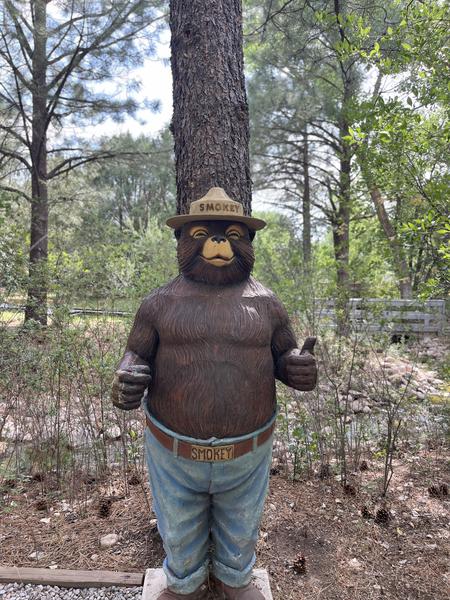 Smokey Bear Historical Park photo 5