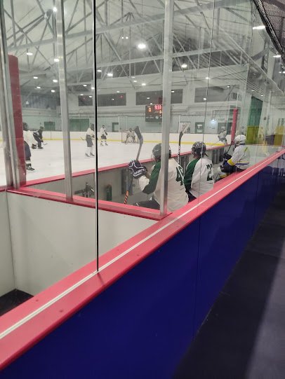Metropolis Skating Rink photo 3