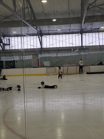 Metropolis Skating Rink photo 6