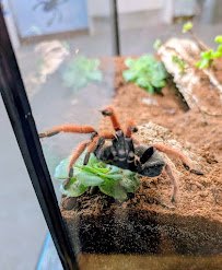 Insect Zoo photo 4
