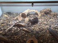 Insect Zoo photo 5