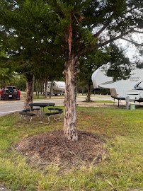 Campground at the Water-Zoo Clinton Indoor Water Park photo 4