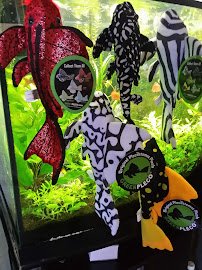 Pan Ocean Aquarium USA Inc photo 2