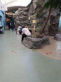 Hamill Family Play Zoo photo 4