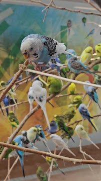 Hamill Family Play Zoo photo 5