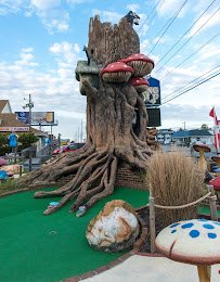 Viking Golf & Go-Karts photo 4