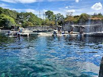 Mystic Aquarium photo 4