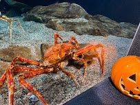 Mystic Aquarium photo 5