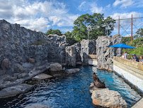 Mystic Aquarium photo 6