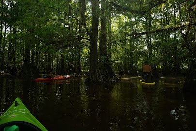 Leake County Water Park photo 5